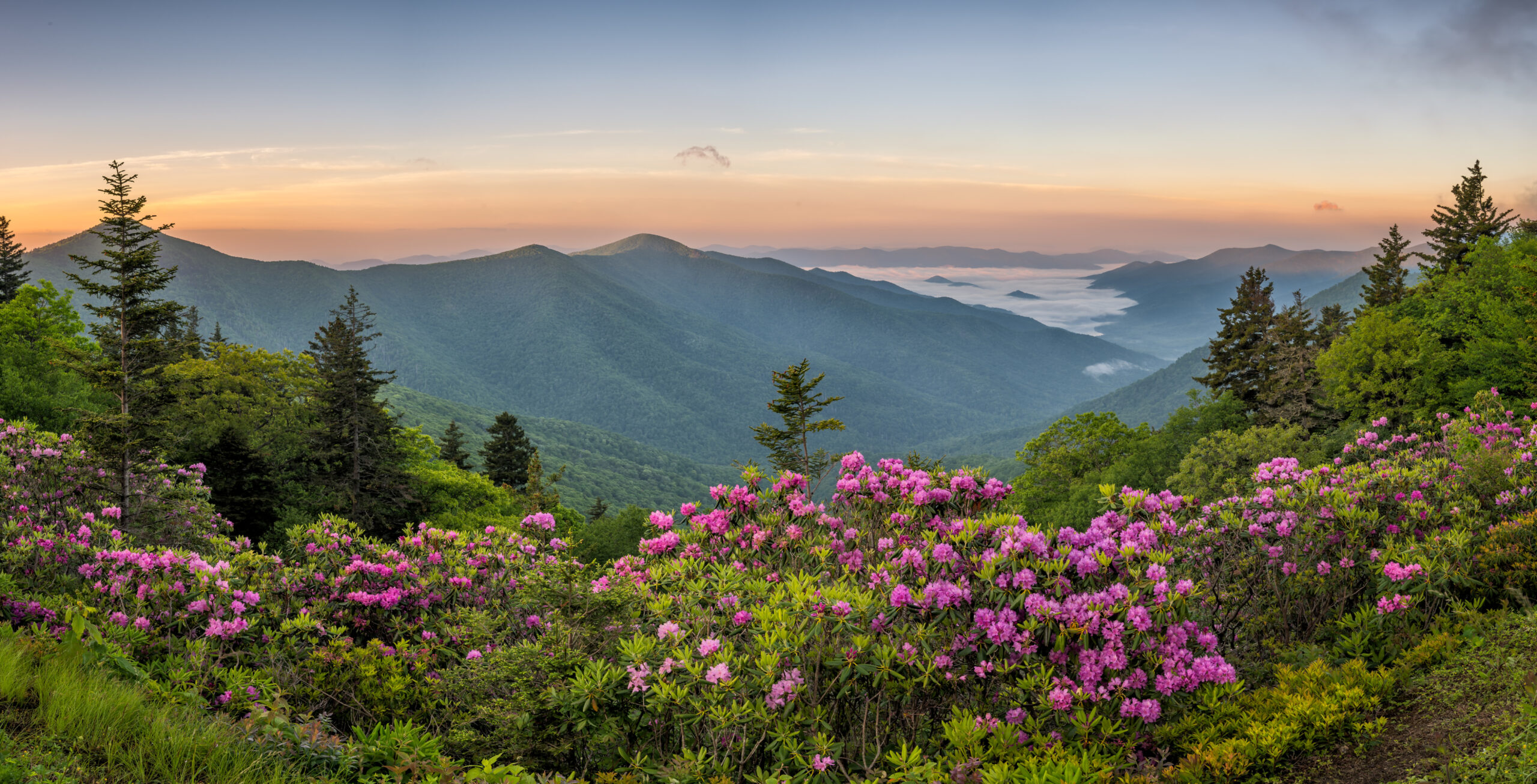 North Carolina Regional Government News