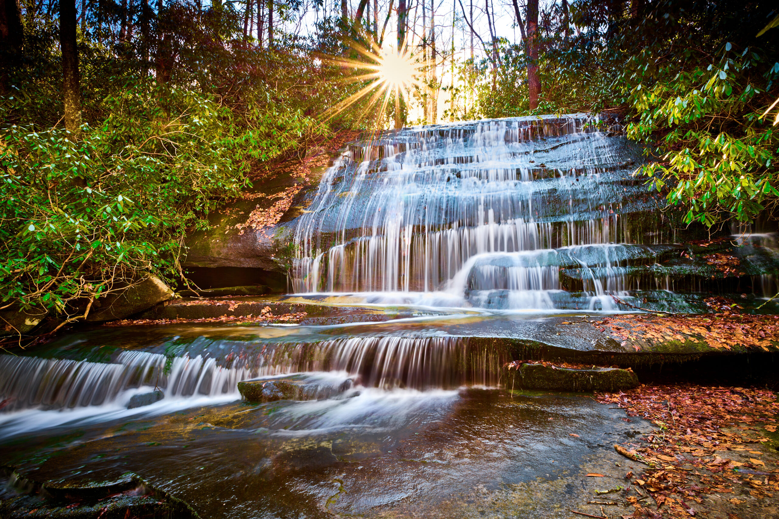 North Carolina Local Government Resources